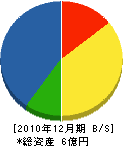 北海鋪道 貸借対照表 2010年12月期