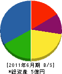 田中建設 貸借対照表 2011年6月期
