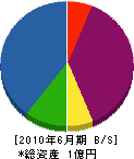 吉田電設 貸借対照表 2010年6月期
