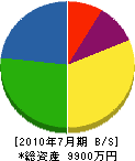 北沢水道工業所 貸借対照表 2010年7月期