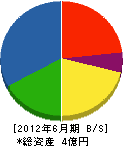 飯島電気工事 貸借対照表 2012年6月期