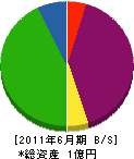 平井商事 貸借対照表 2011年6月期