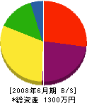 和田建設 貸借対照表 2008年6月期