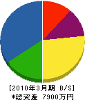 村脇電気 貸借対照表 2010年3月期