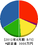 斉藤園芸 貸借対照表 2012年4月期