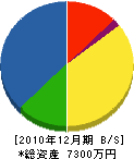 黒松内電工社 貸借対照表 2010年12月期