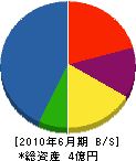 桐明組 貸借対照表 2010年6月期