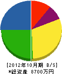 大松建設 貸借対照表 2012年10月期