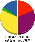 石井工務店 貸借対照表 2009年12月期