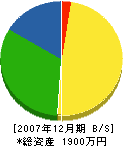 田中コンクリート 貸借対照表 2007年12月期