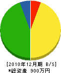 入江設備 貸借対照表 2010年12月期