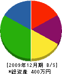 藤崎造園 貸借対照表 2009年12月期