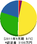 松竹園 貸借対照表 2011年9月期