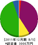 佐々木造園 貸借対照表 2011年12月期