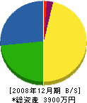藤田組 貸借対照表 2008年12月期