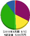 中芳電気 貸借対照表 2010年4月期