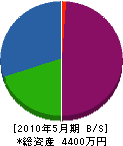 蛭田四方工業 貸借対照表 2010年5月期