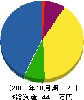 川村電気商会 貸借対照表 2009年10月期