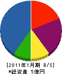 内田総合設備 貸借対照表 2011年1月期