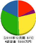 東川住宅 貸借対照表 2010年12月期