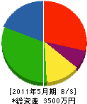 伊藤電機 貸借対照表 2011年5月期