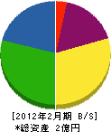 三栄通商 貸借対照表 2012年2月期