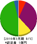 長谷川地所 貸借対照表 2010年3月期