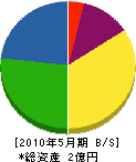 深澤電気 貸借対照表 2010年5月期