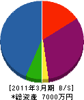 坂田電気商会 貸借対照表 2011年3月期