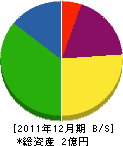 坪井 貸借対照表 2011年12月期