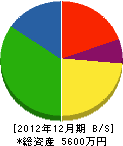 伊藤商会 貸借対照表 2012年12月期