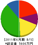 伊藤塗装工業 貸借対照表 2011年6月期