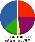 長野サンバンク 貸借対照表 2013年3月期