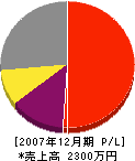 櫻井塗装店 損益計算書 2007年12月期