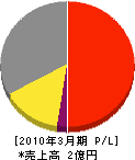 新陽サービスエンジニアリング 損益計算書 2010年3月期