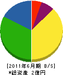 田中電設工業 貸借対照表 2011年6月期