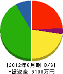鎌田建設 貸借対照表 2012年6月期