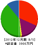 小笠原塗装 貸借対照表 2012年12月期