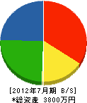 松橋電気 貸借対照表 2012年7月期
