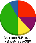 中山電工 貸借対照表 2011年9月期