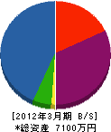 坂田電気商会 貸借対照表 2012年3月期