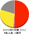 日本運動施設サービス 損益計算書 2010年6月期 日本運動施設サービス 損益計算書 2010年6月期