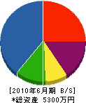 松豊園 貸借対照表 2010年6月期