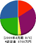 徳山電業 貸借対照表 2009年4月期