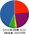 田中設備 貸借対照表 2010年4月期