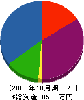 近江スポーツ 貸借対照表 2009年10月期