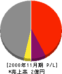 篠田建設 損益計算書 2008年11月期