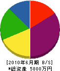 川渕工業 貸借対照表 2010年6月期