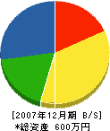永島塗装工業 貸借対照表 2007年12月期