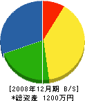 篠山緑化建設 貸借対照表 2008年12月期